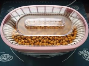 放入酸奶机，选择纳豆程序，时间16小时，启动发酵。