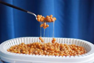 经过冷藏发酵的纳豆，能拉出更多的丝来，味道微甜，可以直接吃，也可以搭配其他食材其他调料伴着吃。