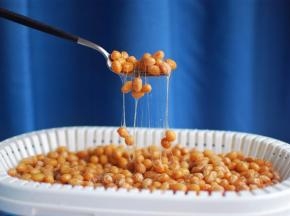 经过冷藏发酵的纳豆，能拉出更多的丝来，味道微甜，可以直接吃，也可以搭配其他食材其他调料伴着吃。