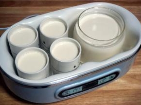 将拌好的纯奶分别装入分杯中。