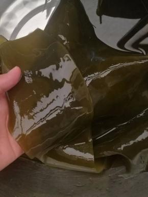 8.炖排骨的时候我们来处理海带，浸发的海带洗去表面粘液。