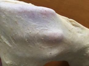 揉出手套膜即可，等待发酵，我在面包机里发酵的