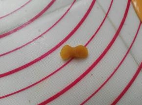 将细绳绕在蝴蝶结中间，漂亮的蝴蝶结就做好了