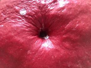 发到2倍大 手指蘸干粉戳洞 不回缩不塌陷