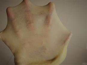 程序结束后，可以拉出薄薄的手套膜