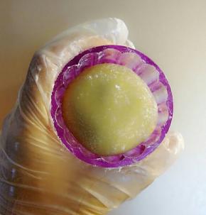 然后把面团放入阳晨紫水晶模具里进行压制！