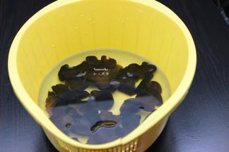 木耳洗净浸泡，大个的切小；