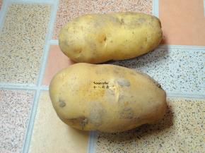 准备好新鲜的土豆