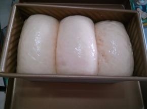 发到八九分满，取出刷蛋液。此时可预热烤箱。