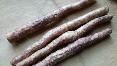 2．两根铁棍山药分段用刷子洗干净，这里的山药不需要去皮。（皮有很高的药用价值）