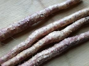 2．两根铁棍山药分段用刷子洗干净，这里的山药不需要去皮。（皮有很高的药用价值）