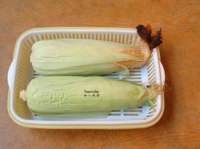 新鲜玉米去外皮和玉米须；