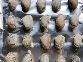 控干水分的发甲放入铺好锡纸的烤盘上