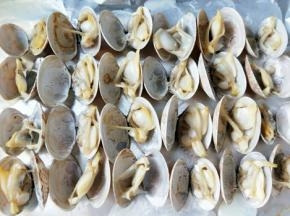烤到花甲全部开口取出