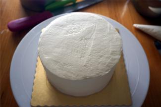 用淡奶油包裹整个蛋糕体，整体抹平。