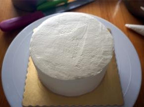 用淡奶油包裹整个蛋糕体，整体抹平。