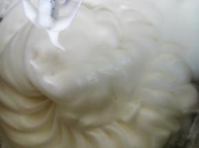 做蛋糕卷打到这个程度就行，如果做生日蛋糕胚的话要再打到小直尖才行
