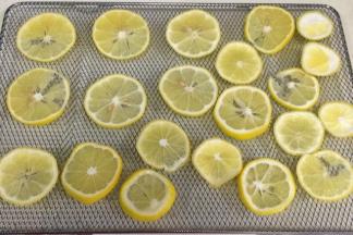 把切好的柠檬片铺在烤网上。