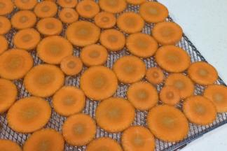 把切好的胡萝卜片摆放在烤网上，胡萝卜片大概烘烤3～4小时。