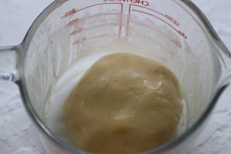 倒入低粉搅拌成团，静置1小时。