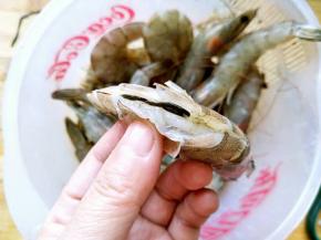 剪开脊背抽取沙线