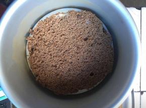 将蛋糕片外边一层去掉，放入膜具里，倒入提拉米苏（过筛更细腻，我没有过筛）