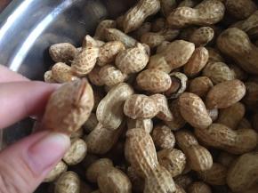 将花生顶端捏开，方便入味