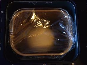 程序结束后，取出面团揉圆，取出面包机的刀片，将面团放入，盖上保鲜膜，启动发酵程序。