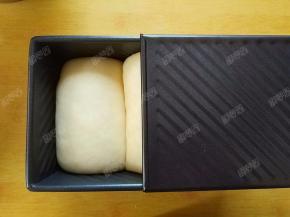 发酵到七八分满后盖上盖子