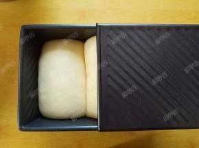 发酵到七八分满后盖上盖子