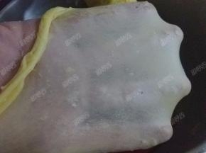 继续揉面至完全阶段，可以拉出很薄的有弹性且坚韧的薄膜