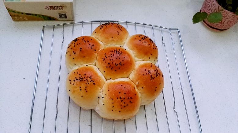 无油花生酱面包