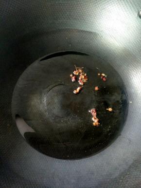 热锅凉油，下花椒小火煸香。
