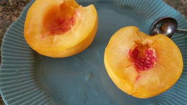 转动下黄桃，一分为二