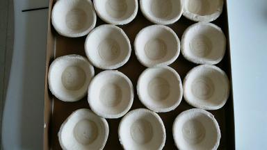 提前把蛋挞拿出来解冻 