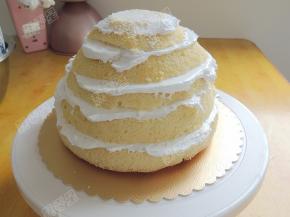 五片蛋糕片全部组装好咯