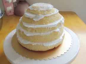 五片蛋糕片全部组装好咯