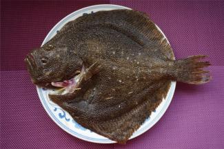 多宝鱼刮鳞去内脏，洗净后放到碟子上。