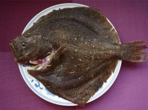 多宝鱼刮鳞去内脏，洗净后放到碟子上。