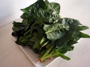 菠菜洗净后从中间切断。