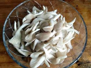 平菇洗净，稍微撕一下。