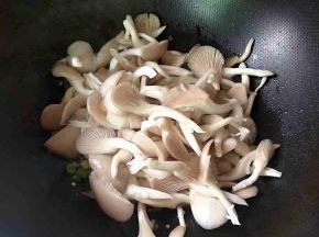 下平菇