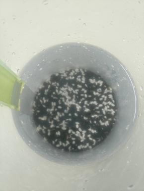 把黑米，糯米提前浸泡两个小时。