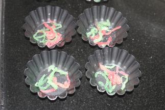 准备好模具，下面码入红绿丝