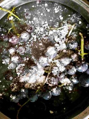 葡萄放在水里面，撒上一把面粉。再用清水过几遍。