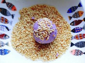 将揉圆的芝士紫薯球再芝麻容器中滚上芝麻。