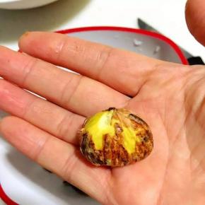 去掉外壳的样子