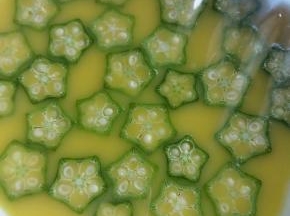 然后铺一层保鲜膜，用牙签在保鲜膜上扎几个洞