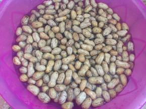 花生反复用清水洗净（洗五六次这样就差不多水变清了）