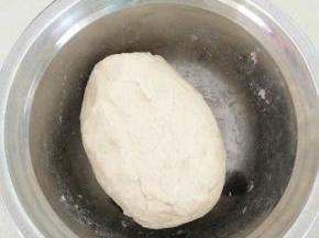 合成团，盖上湿布醒面30分钟。